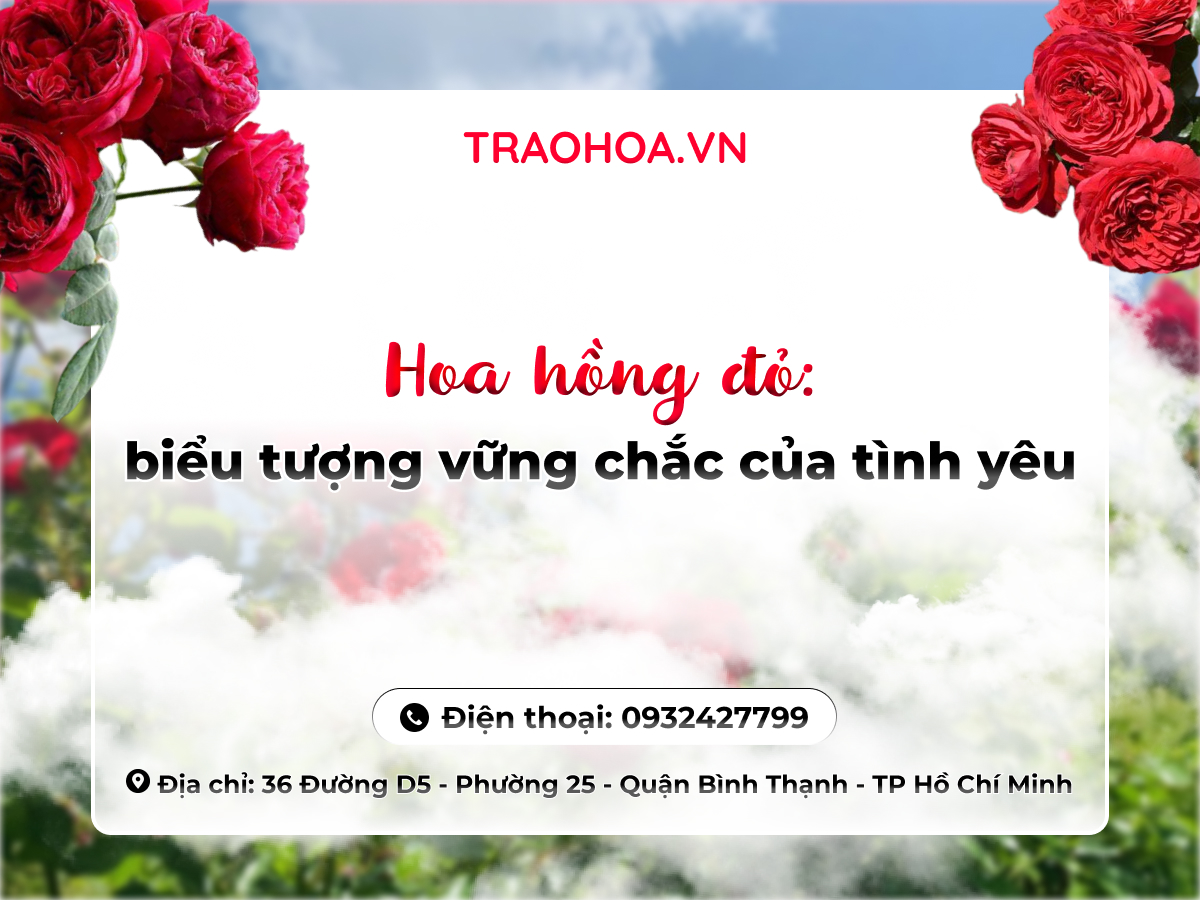 HOA HỒNG ĐỎ: BIỂU TƯỢNG VỮNG CHẮC CỦA TÌNH YÊU