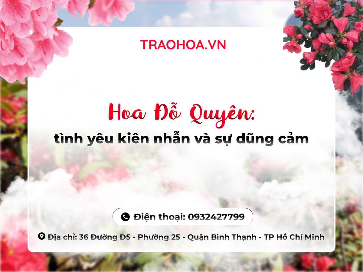 HOA ĐỖ QUYÊN: TÌNH YÊU KIÊN NHẪN VÀ SỰ DŨNG CẢM