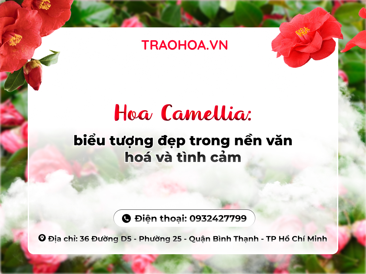 HOA CAMELLIA: BIỂU TƯỢNG ĐẸP TRONG NỀN VĂN HOÁ VÀ TÌNH CẢM 