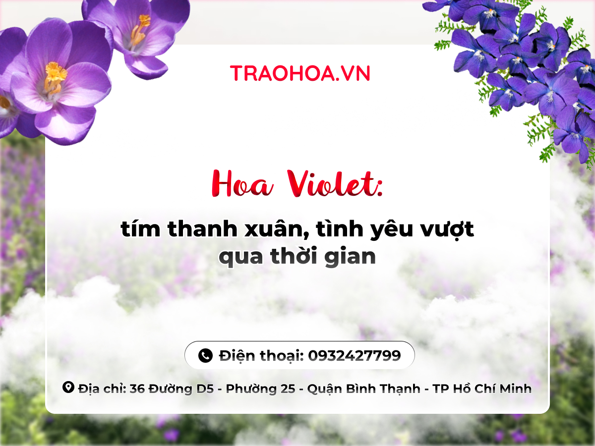 HOA VIOLET: TÍM THANH XUÂN, TÌNH YÊU VƯỢT QUA THỜI GIAN 