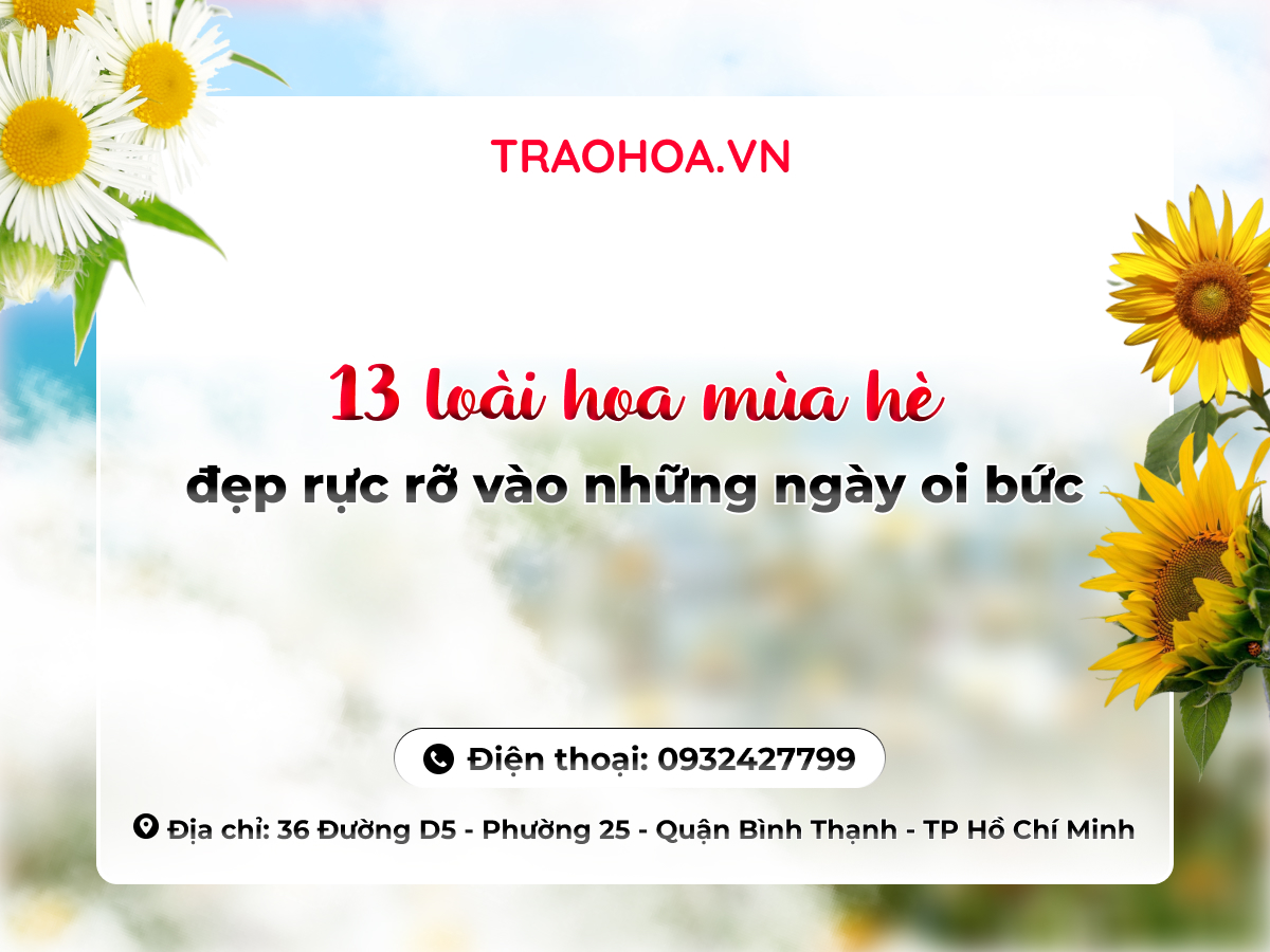 13 LOÀI HOA MÙA HÈ ĐẸP RỰC RỠ VÀO NHỮNG NGÀY OI BỨC