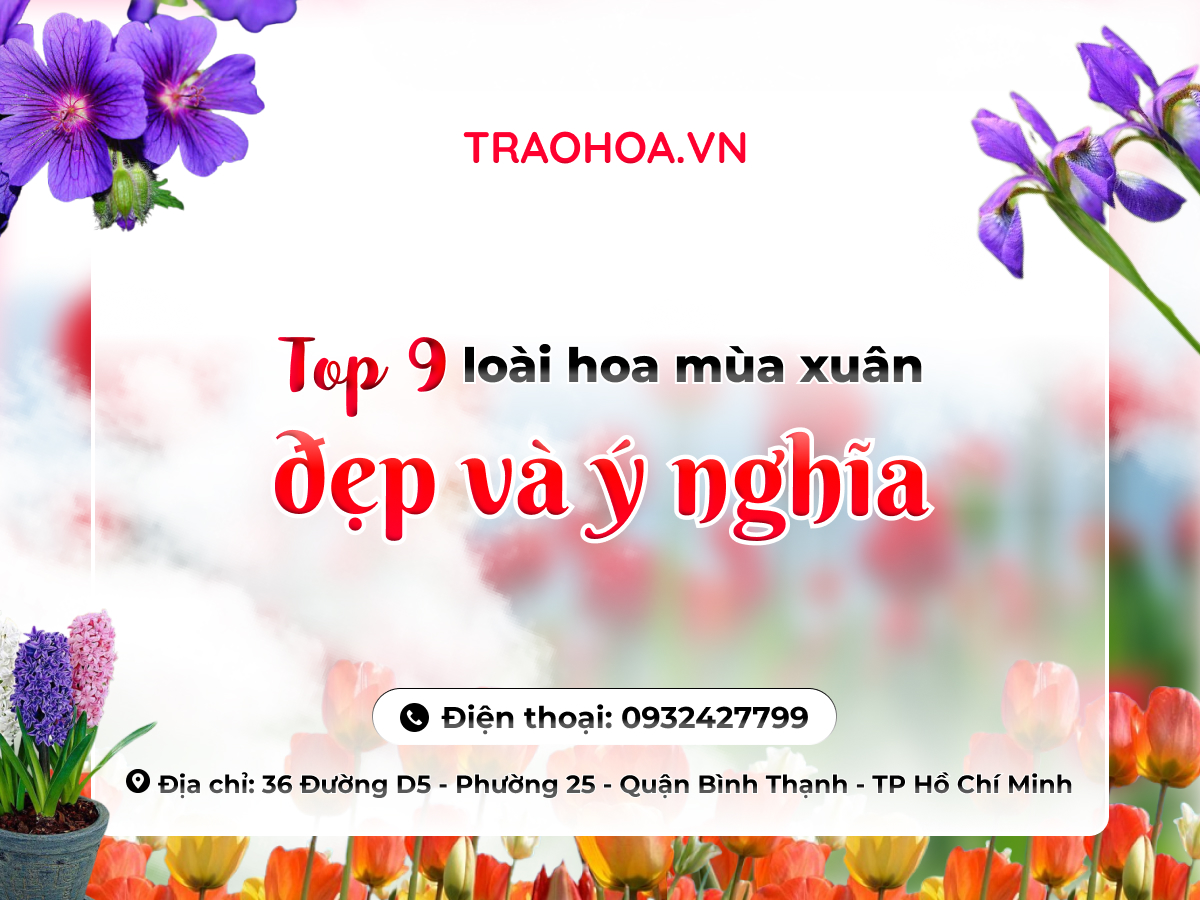 TOP 9 LOÀI HOA MÙA XUÂN ĐẸP VÀ Ý NGHĨA