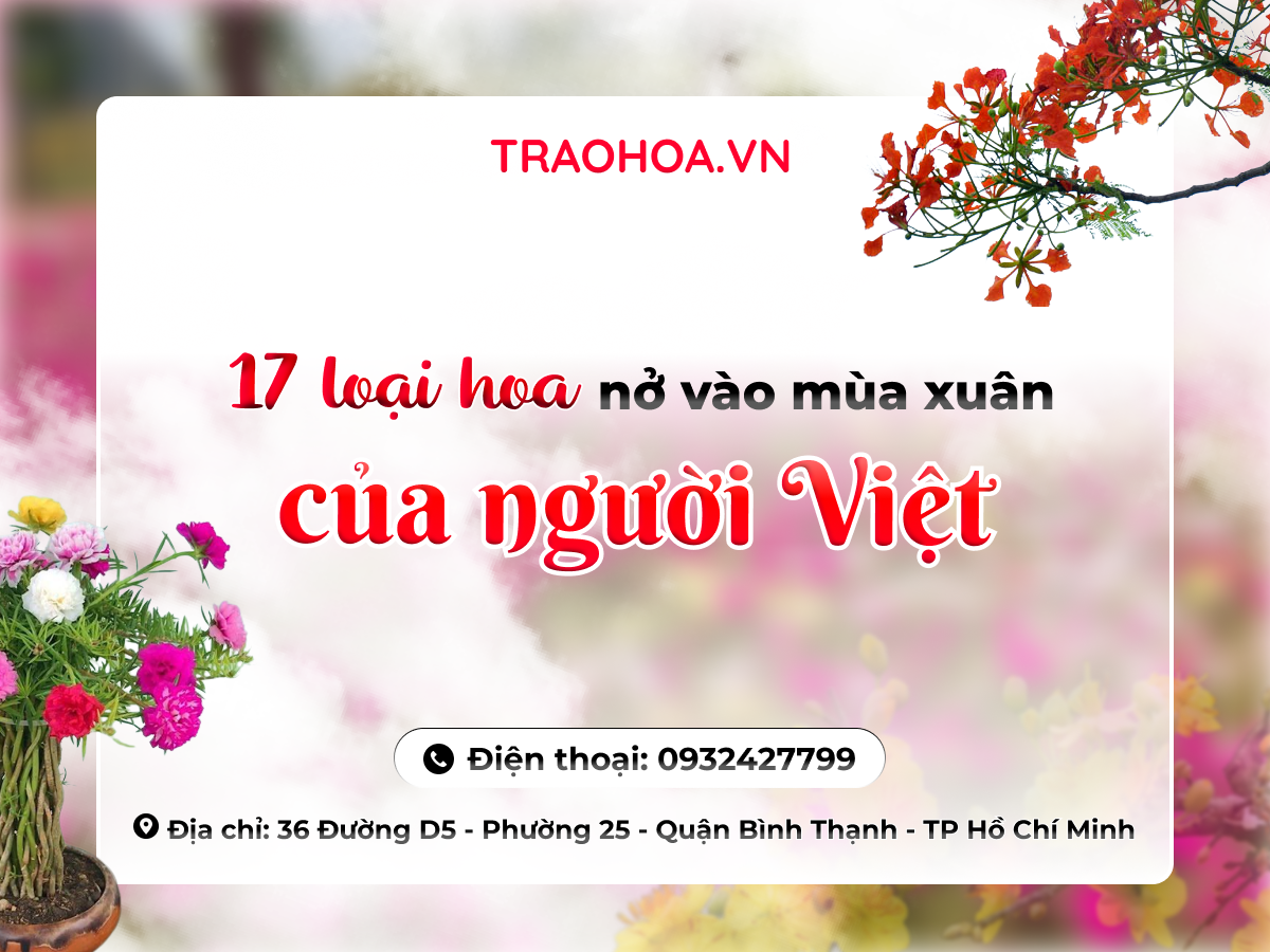 17 LOẠI HOA NỞ VÀO MUA XUÂN CỦA NGƯỜI VIỆT