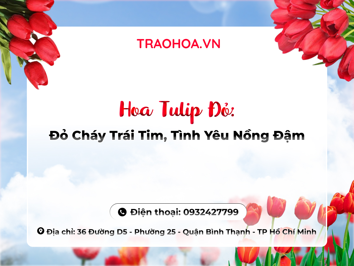 Hoa Tulip Đỏ: Đỏ Cháy Trái Tim, Tình Yêu Nồng Đậm