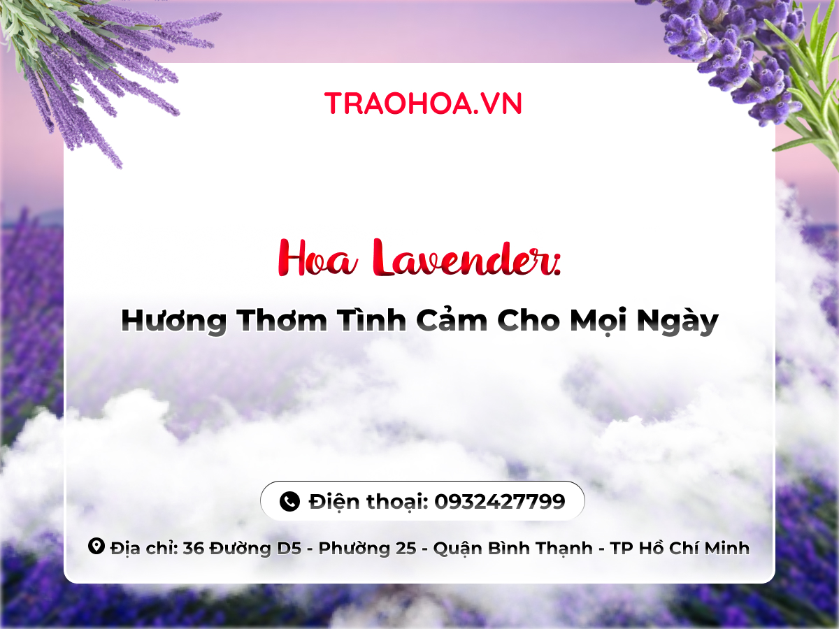 Hoa Lavender: Hương Thơm Tình Cảm Cho Mọi Ngày