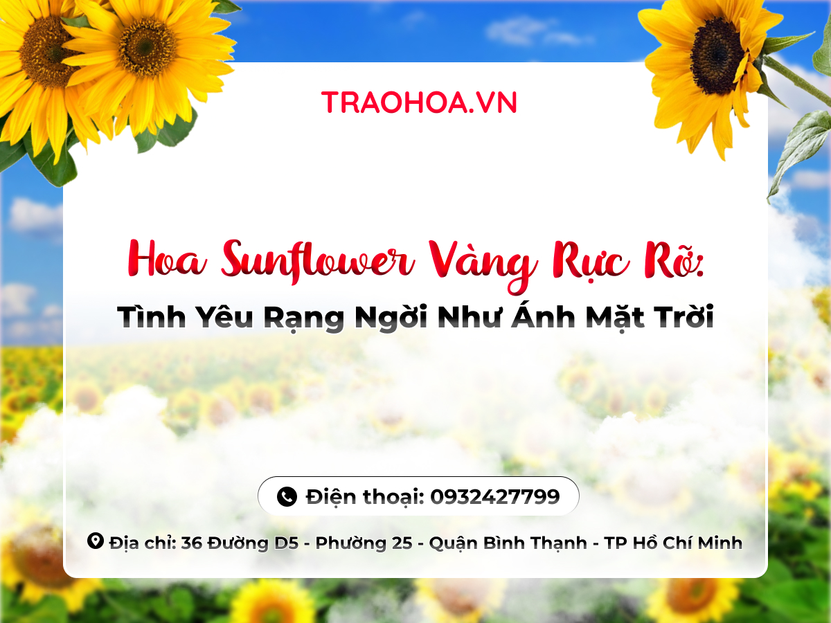Hoa Sunflower Vàng Rực Rỡ: Tình Yêu Rạng Ngời Như Ánh Mặt Trời