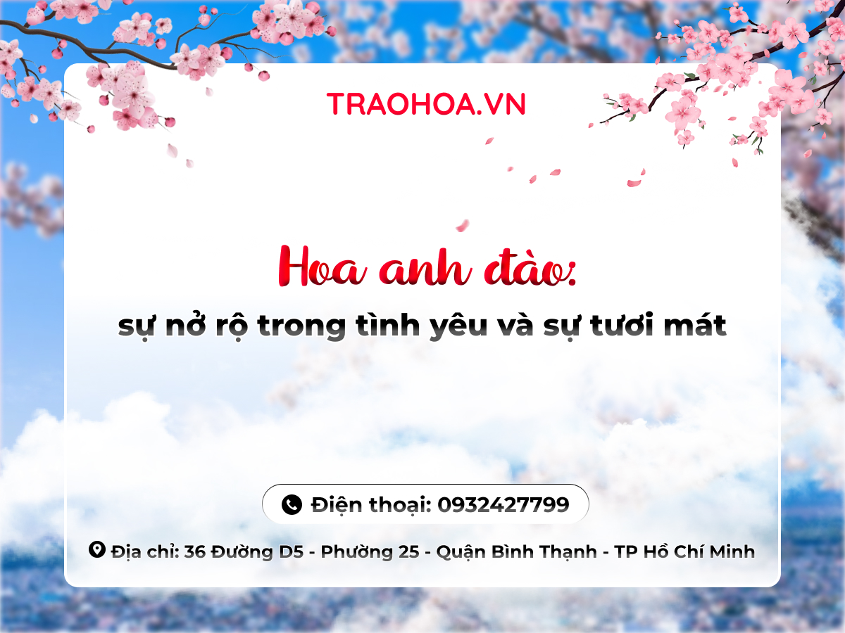 HOA ANH ĐÀO: SỰ NỞ RỘ TRONG TÌNH YÊU VÀ SỰ TƯƠI MÁT