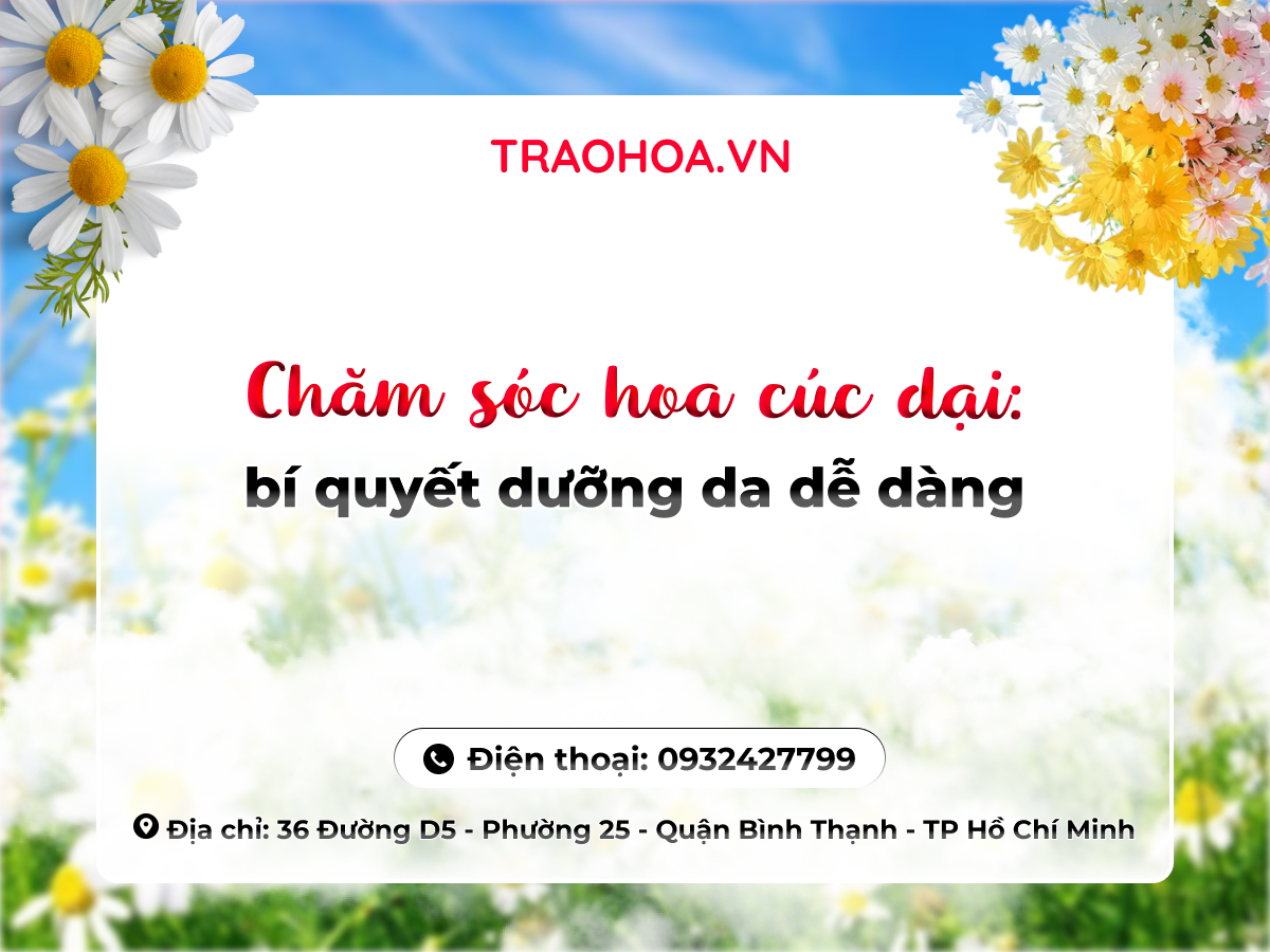 CHĂM SÓC HOA CÚC DẠI: BÍ QUYẾT DƯỠNG DA DỄ DÀNG
