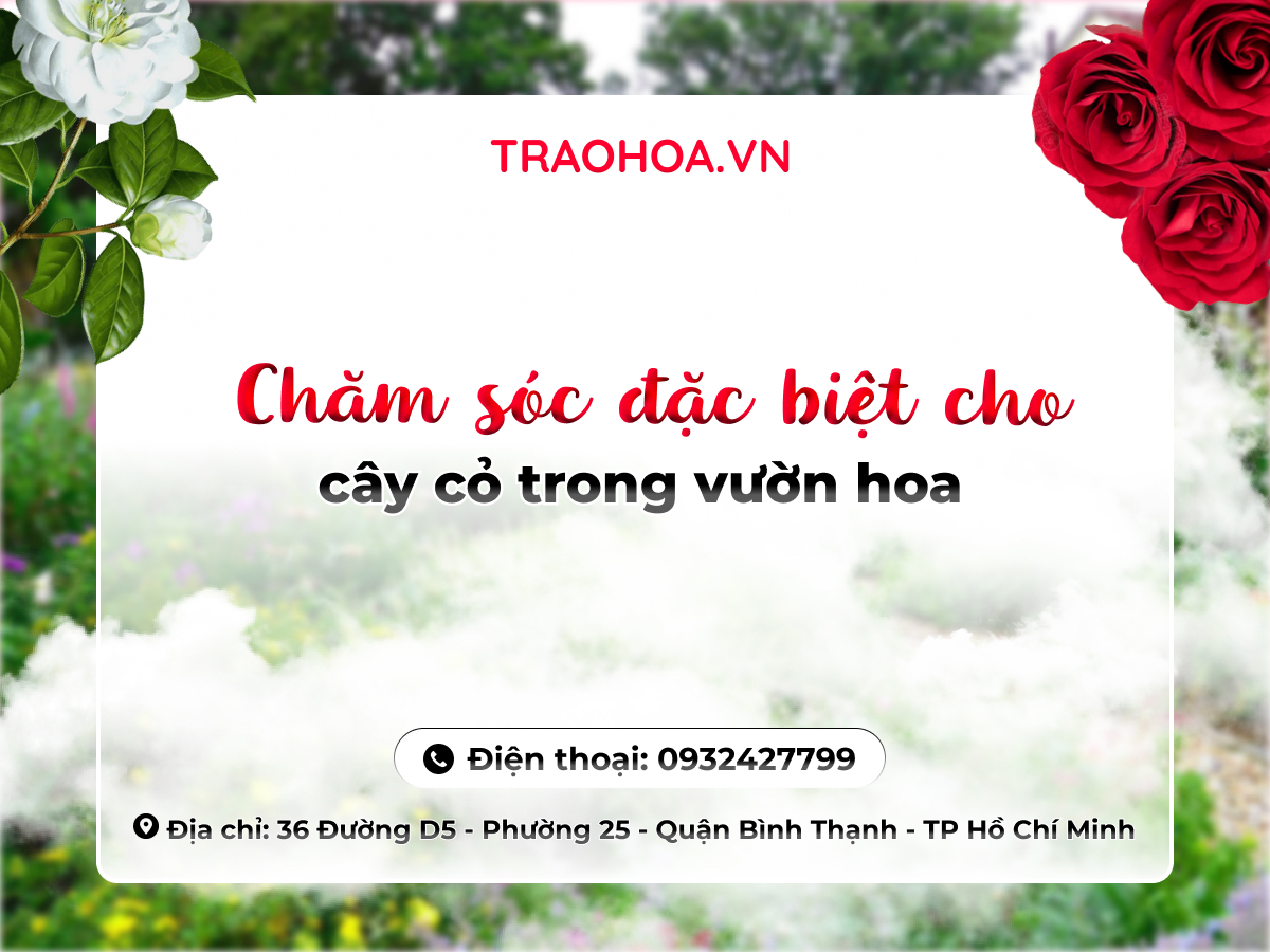CHĂM SÓC ĐẶC BIỆT CHO CÂY CỎ TRONG VƯỜN HOA
