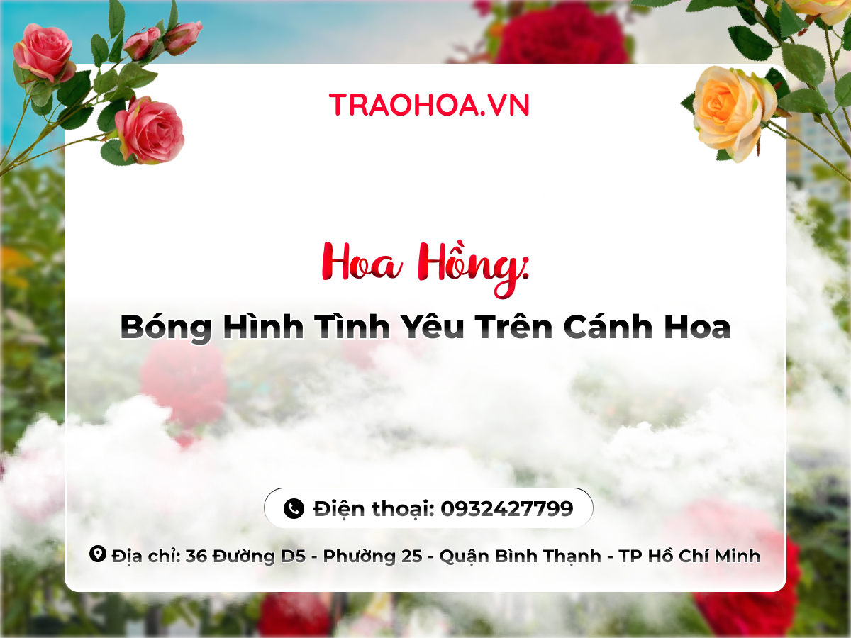Hoa Hồng: Bóng Hình Tình Yêu Trên Cánh Hoa