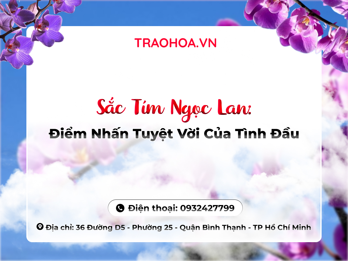 Sắc Tím Ngọc Lan: Điểm Nhấn Tuyệt Vời Của Tình Đầu
