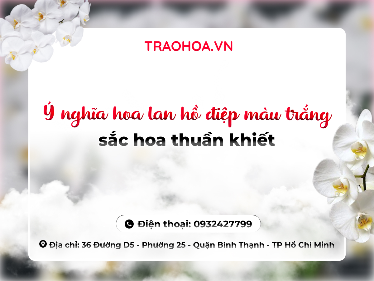 Ý nghĩa hoa lan hồ điệp màu trắng - sắc hoa thuần khiết