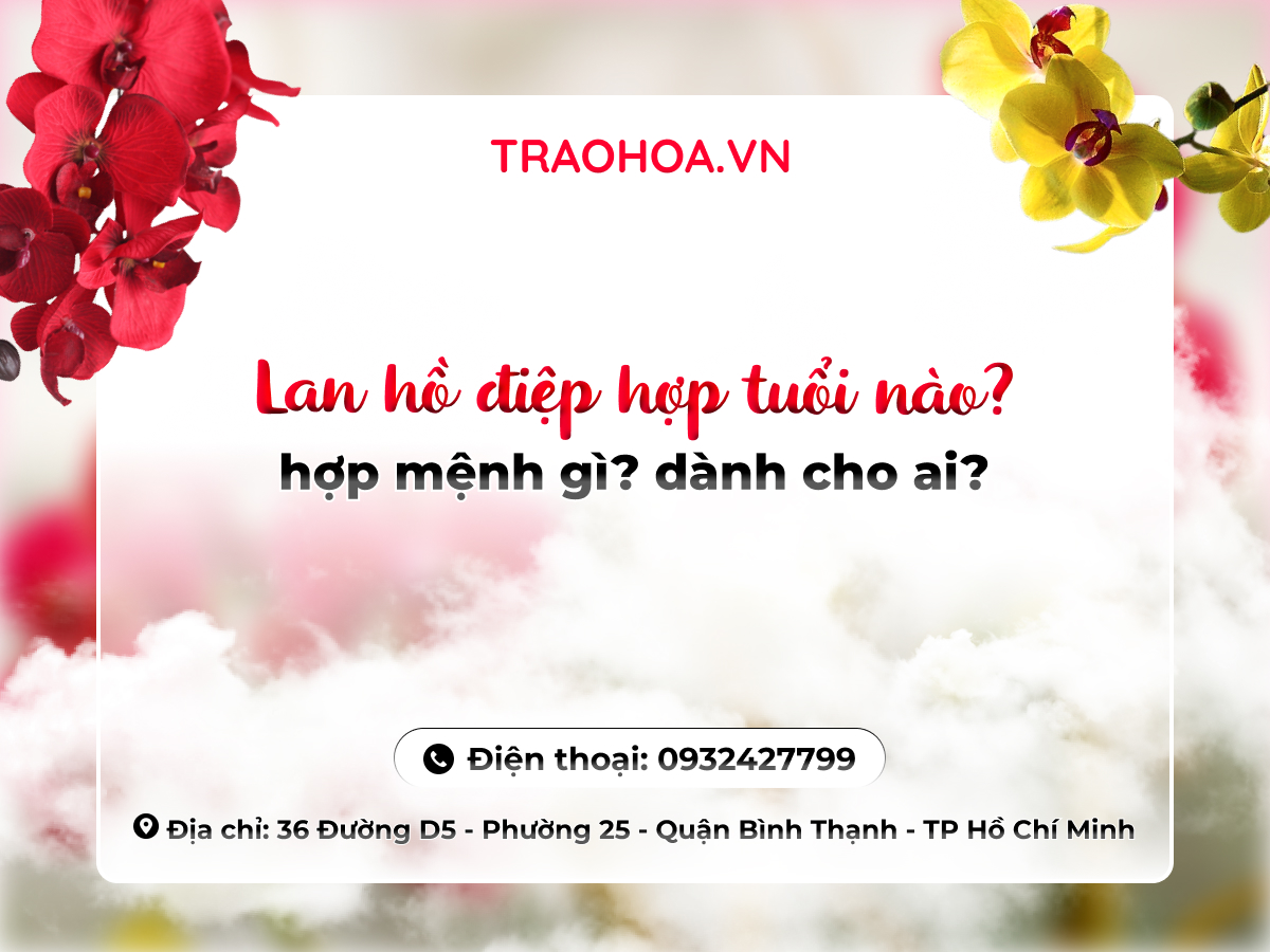 Lan hồ điệp hợp tuổi nào? hợp mệnh gì? dành cho ai?