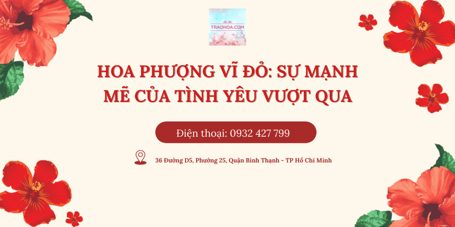 HOA PHƯỢNG VĨ ĐỎ: SỰ MẠNH MẼ CỦA TÌNH YÊU VƯỢT QUA