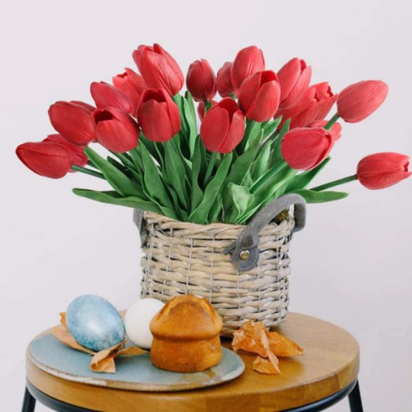 hoa tulip đỏ (4)