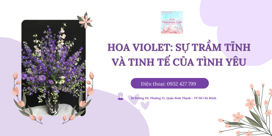 HOA VIOLET: SỰ TRẦM TĨNH VÀ TINH TẾ CỦA TÌNH YÊU