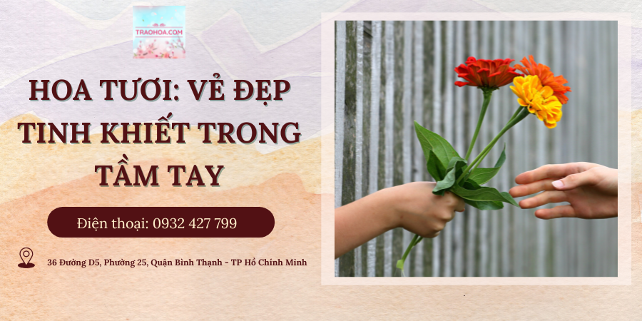 Những bó hoa đẹp và ý nghĩa tặng thầy cô nhân dịp 20/11
