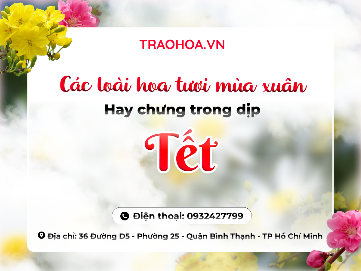 Các loài hoa tươi mùa xuân hay hay chưng trong dịp Tết