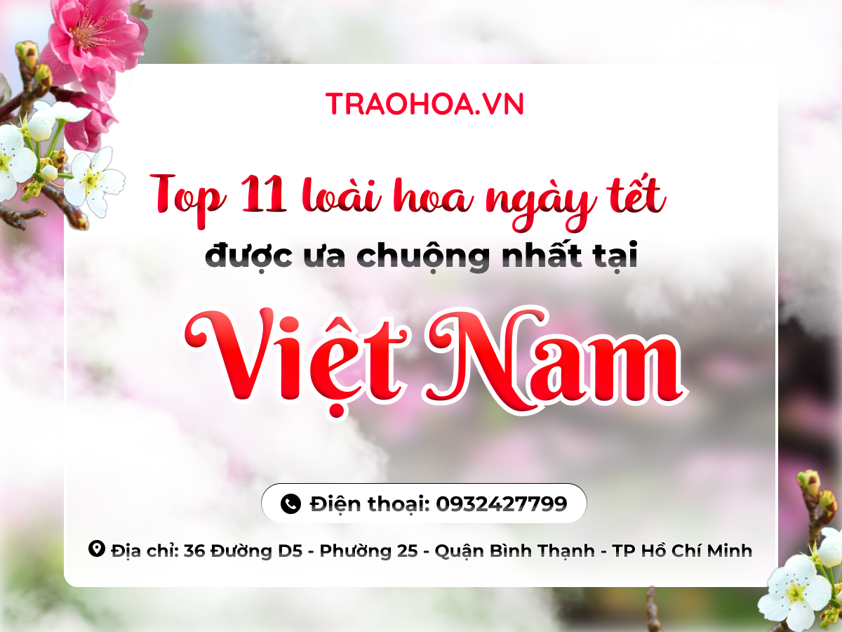 Top 11 loài hoa ngày tết được ưa chuộng nhất tại Việt Nam